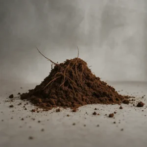 Coco Peat (500gm, Buy 1 Get 1 free)