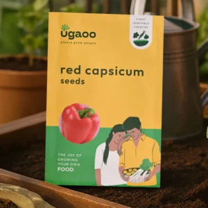 Round Tomato Seeds (15 seeds) seeds