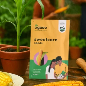 Parijat Harsringar Seeds (3 seeds)