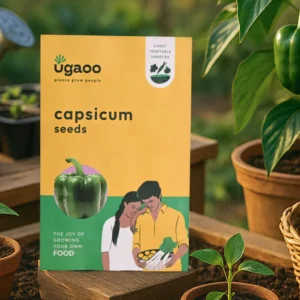 Spinach Seeds (100 seeds)
